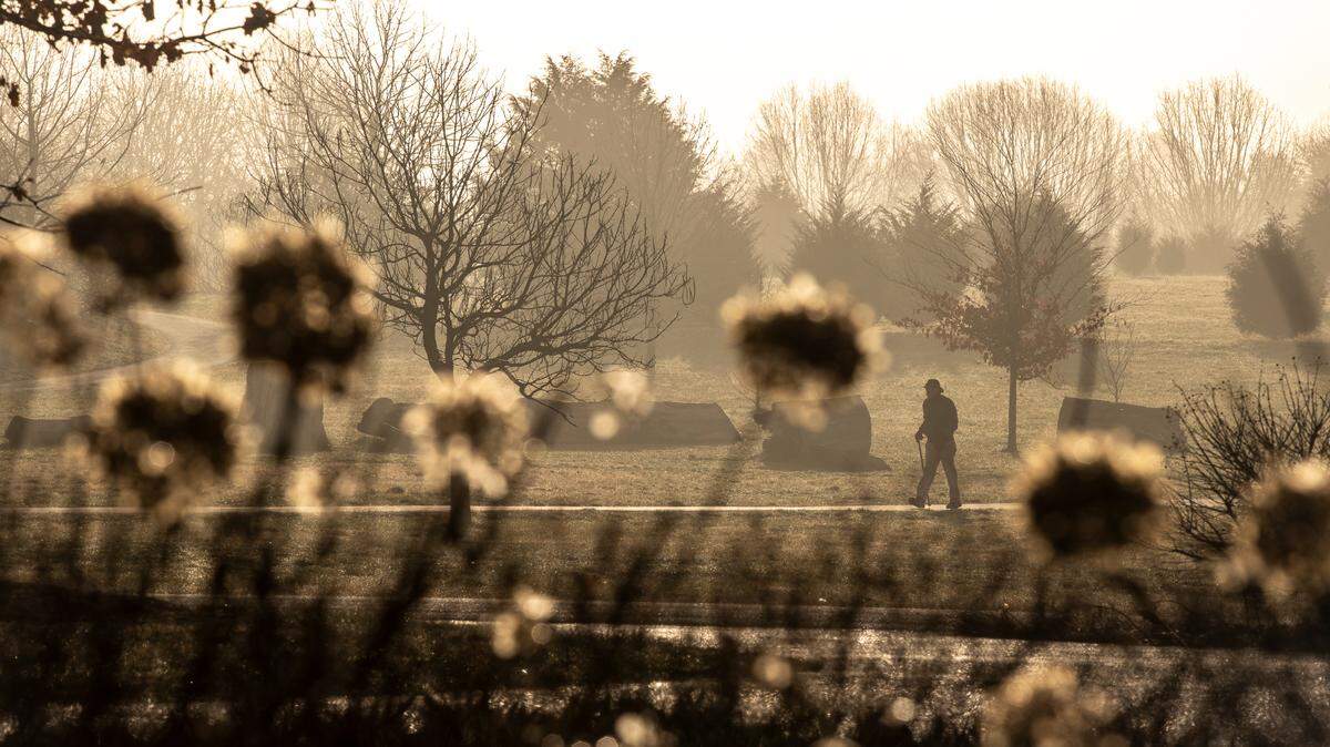 A person walks along a path at the Arboretum, State Botanical Garden of Kentucky, in Lexington.