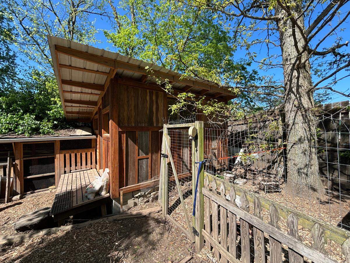 Travis Robinson’s backyard chicken coop and run. Robinson has been keeping chickens since about 2010.