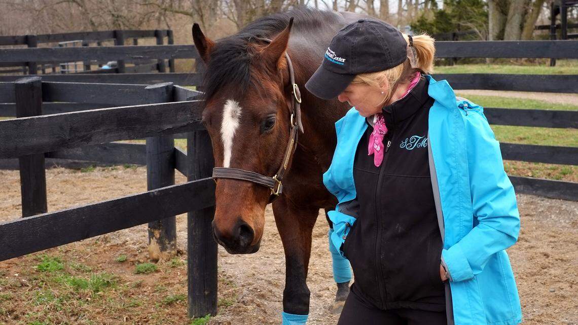 Susanna Thomas, director of the Maker's Mark Secretariat Center at the Kentucky Horse Park, talked to Sullenberger, a former racehorse who was trained for a new role as a pleasure horse. "Sully" was recently adopted. Thomas and her mostly volunteer staff retrain about 40 retired racers a year for new careers.        