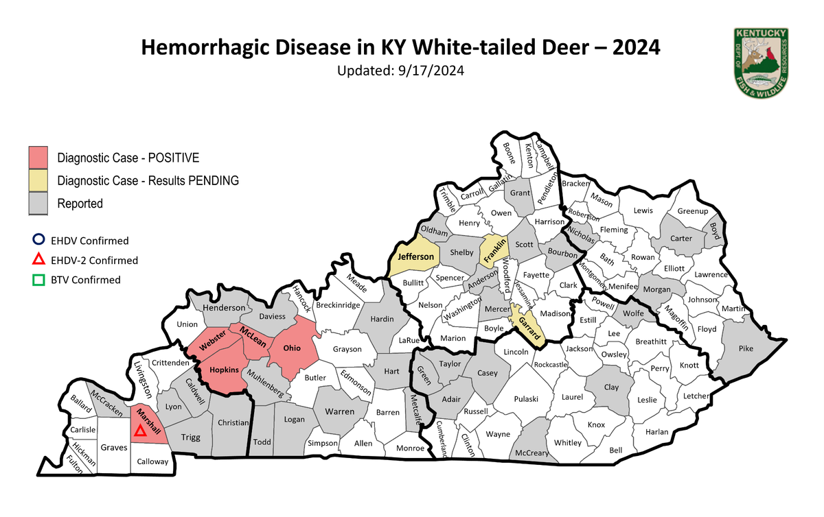Suspected cases of Hemorrhagic Disease are on the rise among white-tailed deer across the state, the Kentucky Department of Fish & Wildlife Resources says. Cases had been confirmed in five Western Kentucky counties as of last week.