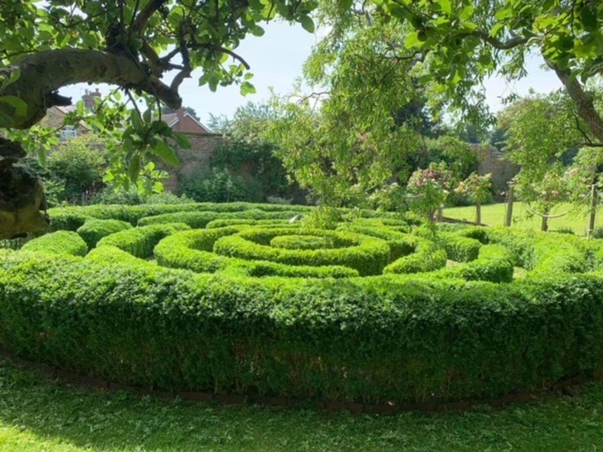 Kentucky native Mike Robinson, who lives in Great Britain, designed a boxwood maze for his garden, which is featured on a British television series, “Garden of the Year.”