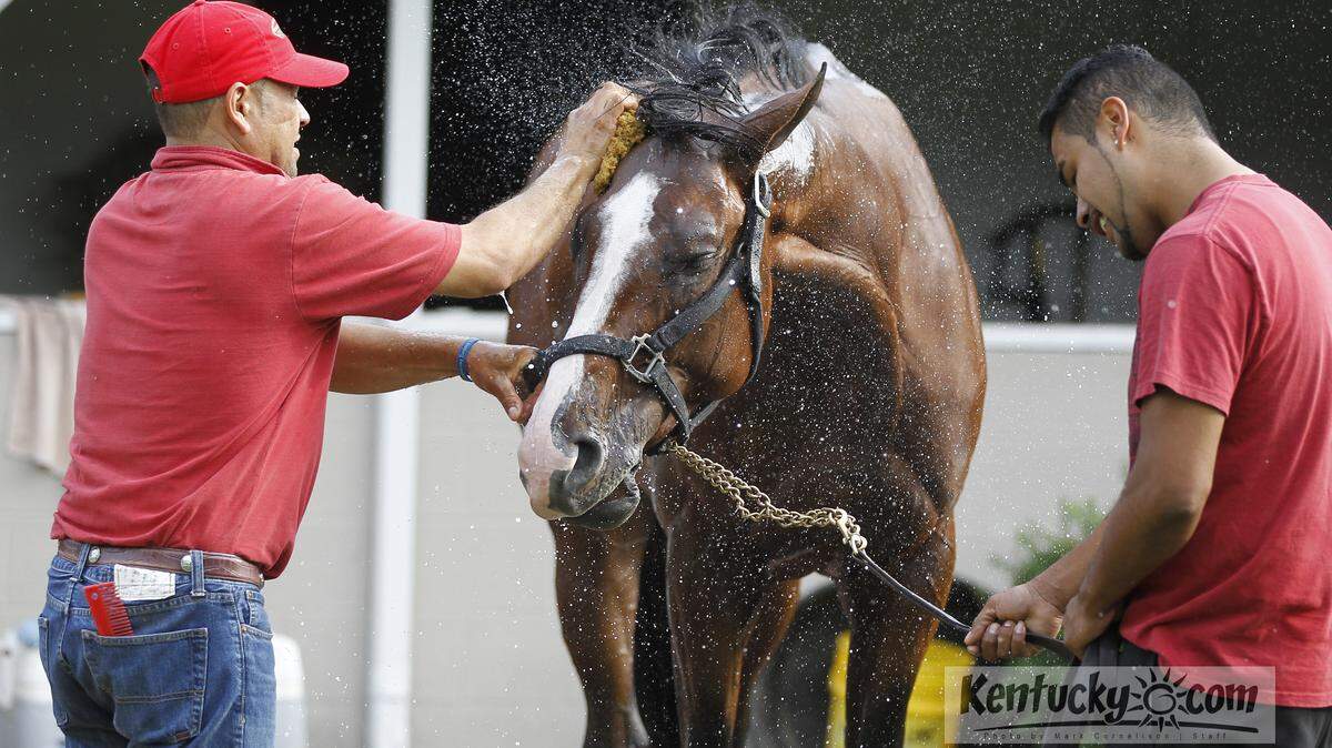 Immigrants do the vast majority of work at tracks and on horse farms. We need a better policy to help them, writes Kelli Carmean. Photo by Mark Cornelison | Staff