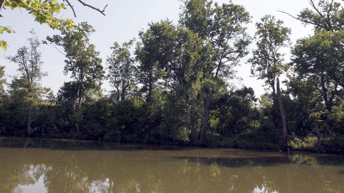 Elkhorn Creek is one of the state’s longest creeks at 17 miles. The two forks join east of Frankfort and run through Scott County to the Kentucky River.