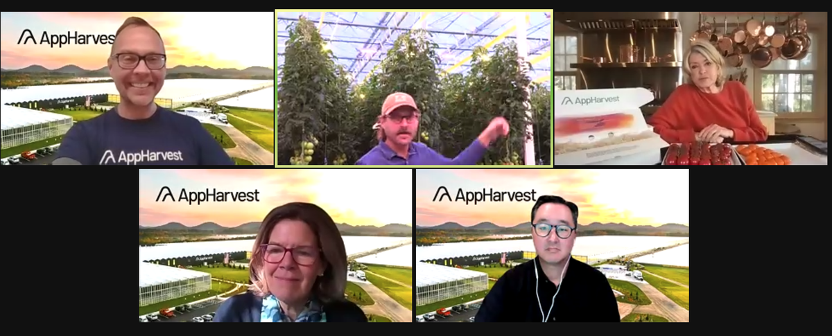 Jonathan Webb (top center), the founder and CEO of AppHarvest, shows the tomato vines at the AppHarvest greenhouse in Morehead during a virtual press conference Tuesday. He was joined by incoming president David Lee, board member Martha Stewart and chief sustainability officer Jackie Roberts.