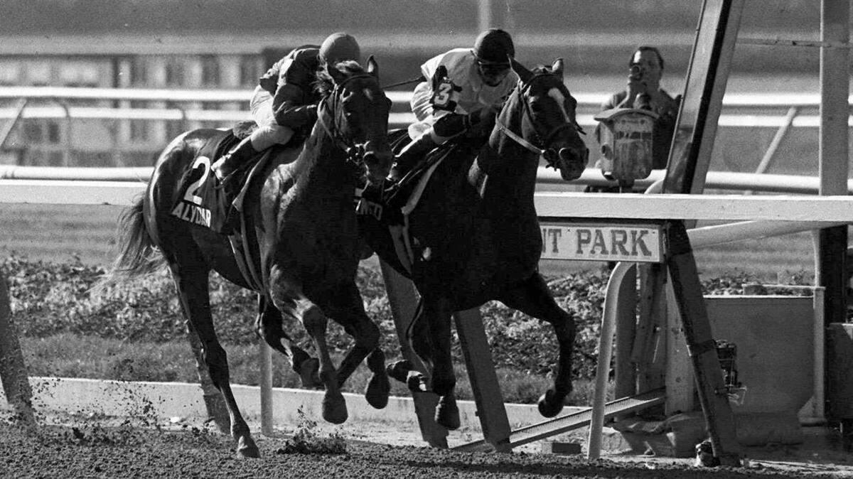 Affirmed on the inside with jockey Steve Cauthen, wins the Belmont Stakes and the Triple Crown ahead of Alydar and jockey Jorge Velasquez in Elmont, N.Y., on June 10, 1978.