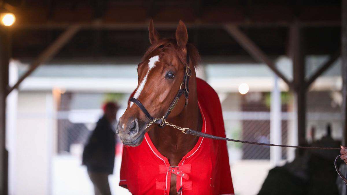 The story of Kentucky Derby winner Rich Strike and Eric Reed just what racing needed