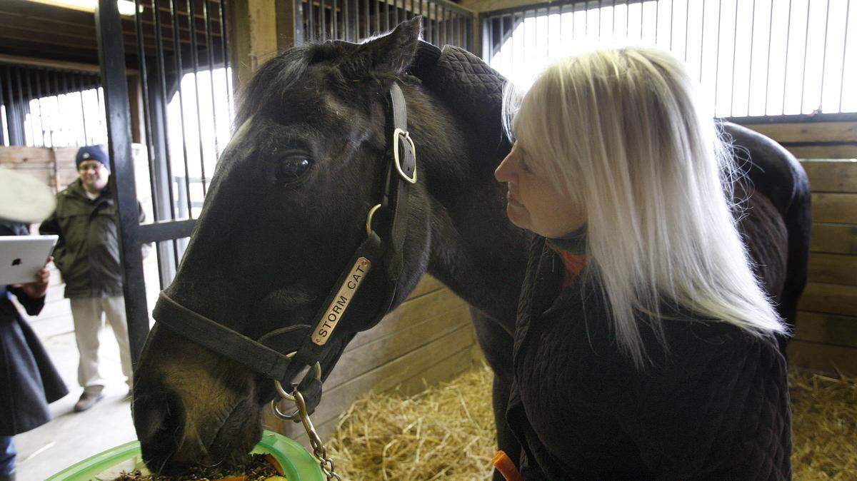 Cathy Sheppard rubbed Storm Cat on his 30th birthday in February. She was his exercise rider in 1985, and her husband, Jonathan, trained Storm Cat.