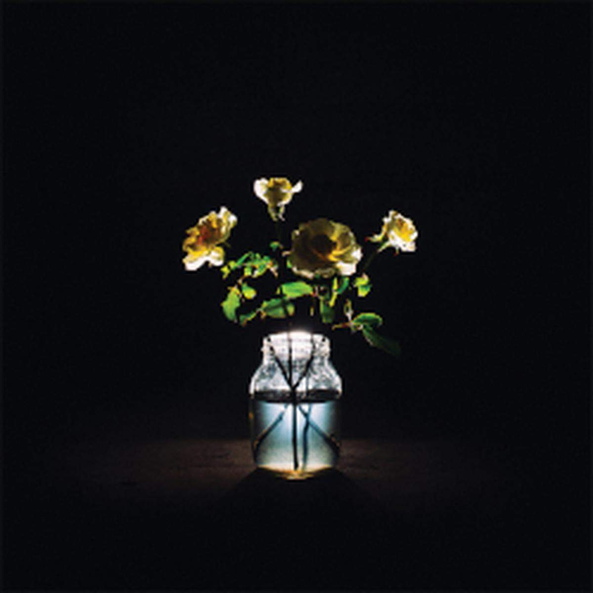 Billy Strings: “Renewal”