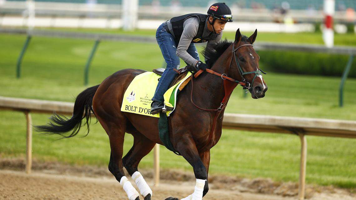 Bolt d'Oro, with exercise rider Jose Velazquez up, during a morning training session Thursday at Churchill Downs. 