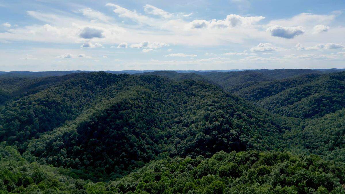The Little Flat Creek watershed is in an area of the Daniel Boone National Forest in Eastern Kentucky.