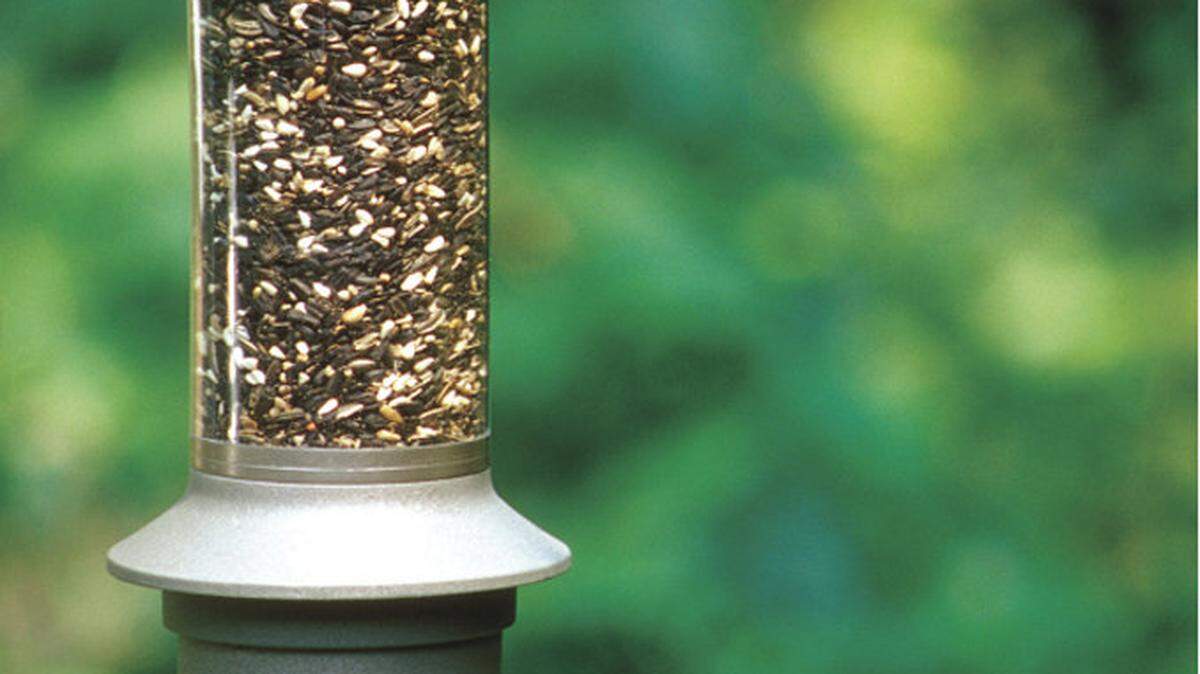 Homes-Outwitting Squirrels
