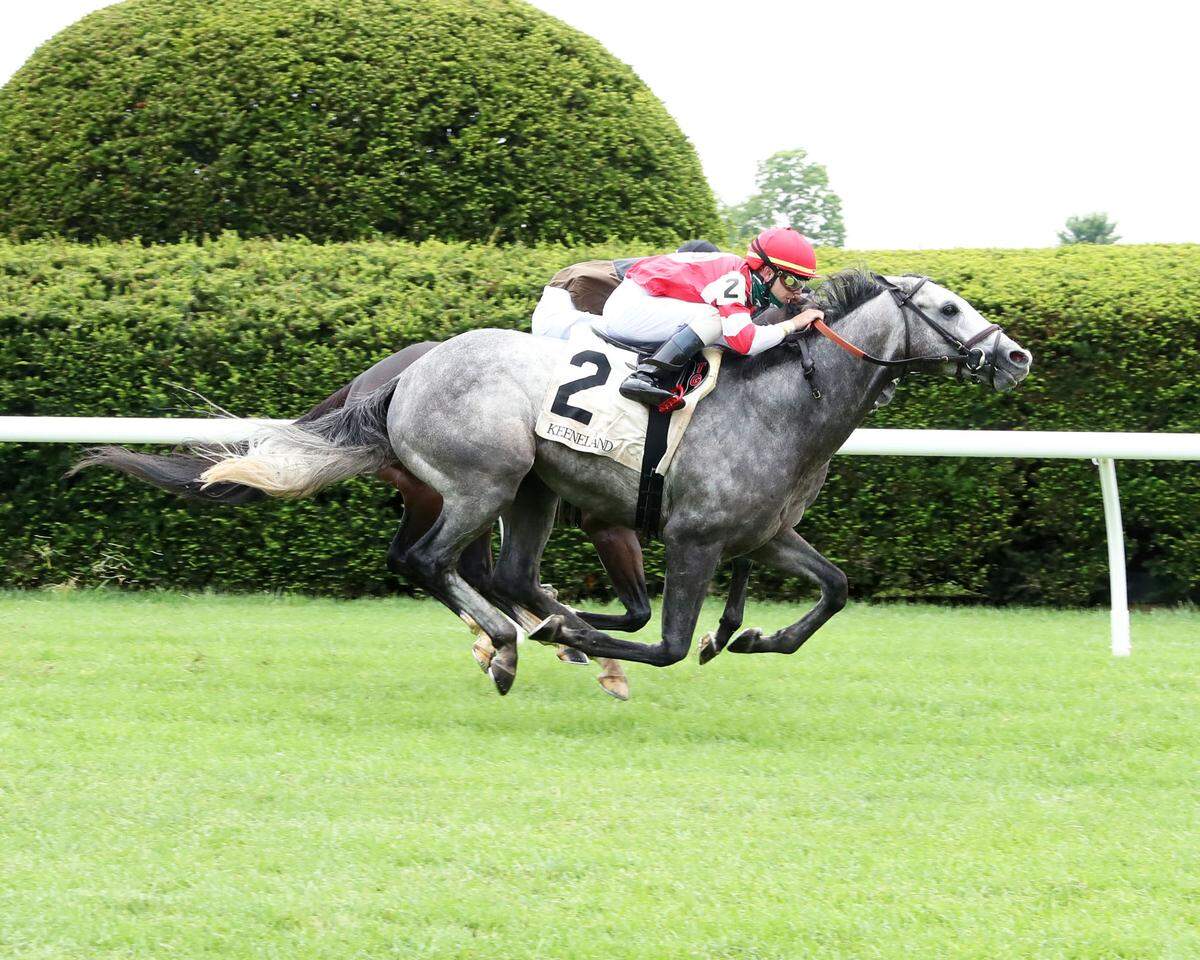 Greyes Creek (2) with Tyler Gaffalione aboard beat My America and Brian Hernandez Jr. to the wire by a neck to win a thrilling sixth race at Keeneland on opening day of the Summer Meet on Wednesday.