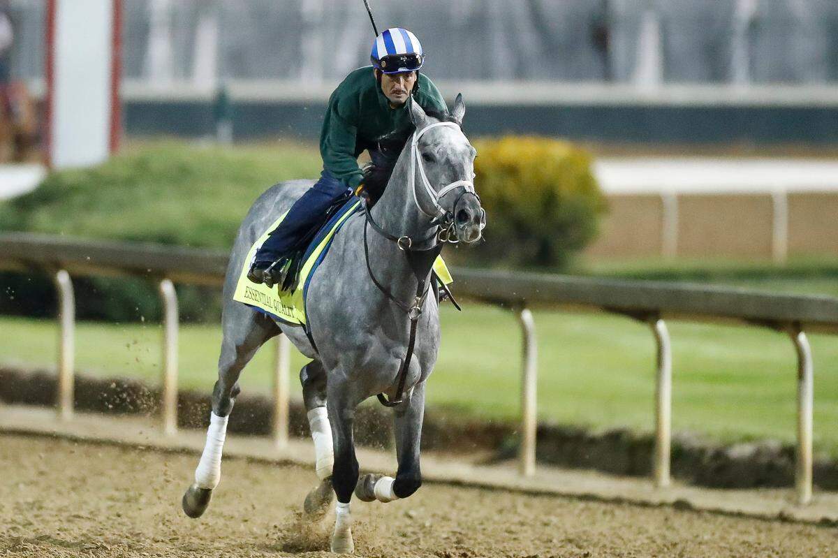 Essential Quality was the favorite for the Kentucky Derby and finished fourth. He could be favored again in the Preakness on May 15.