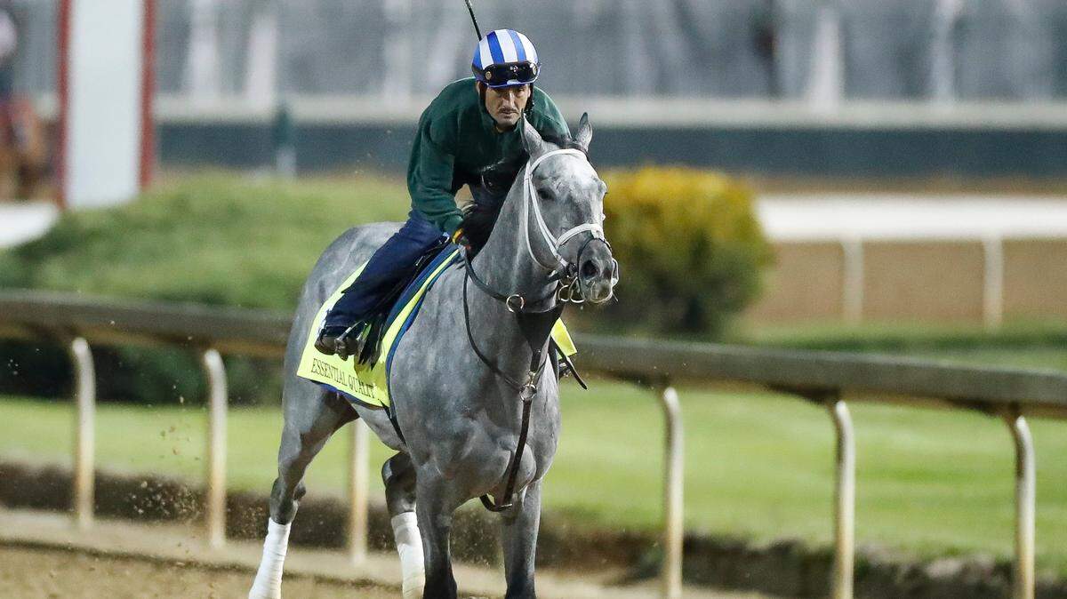 Essential Quality, who was favored to win the Kentucky Derby but finished fourth, will skip the Preakness Stakes.