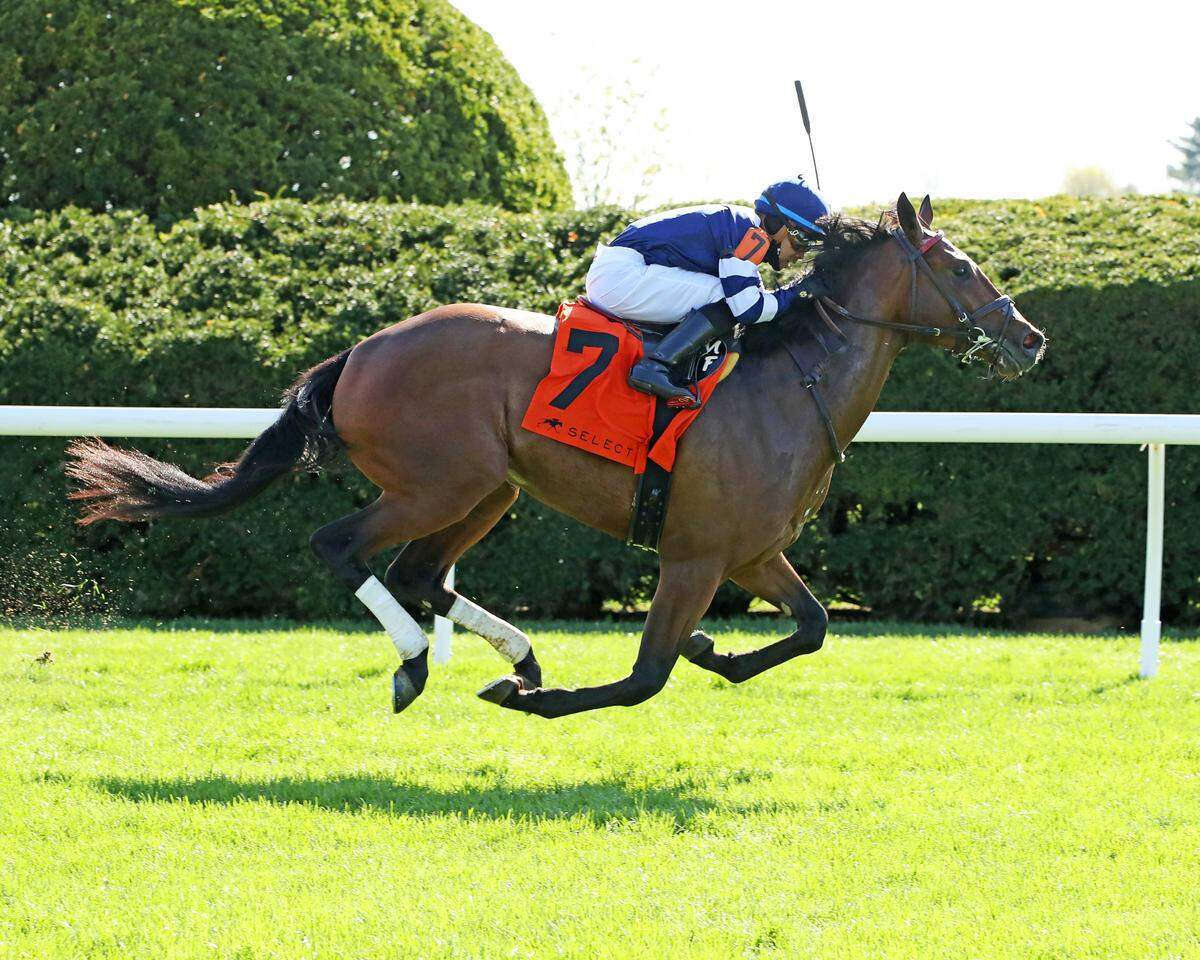 Test Score, with Manny Franco up, wins the Grade 3, $600,000 Transylvania on Monday. This was the first race of the 2025 Spring Meet at Keeneland run on the turf course.