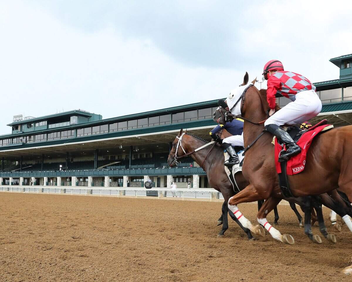 Horses broke from the gate in front of an empty grandstand for the first race on opening day of Keeneland’s five-day Summer Meet in July. The upcoming Fall Meet will expand that to allow in more well-heeled patrons.