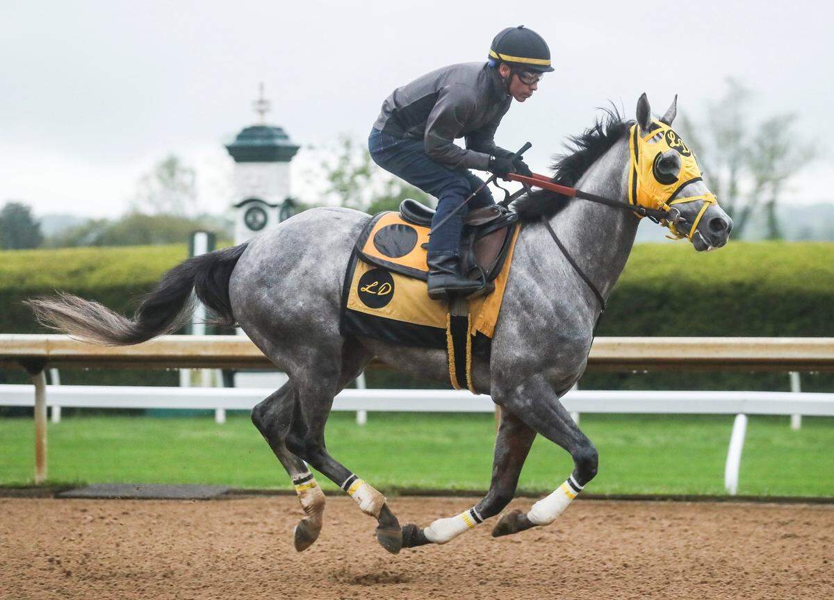Jockey Jesus Castanon rides West Saratoga during a morning workout on April 19 at Keeneland. The two will ride in the 150th Kentucky Derby on Saturday.