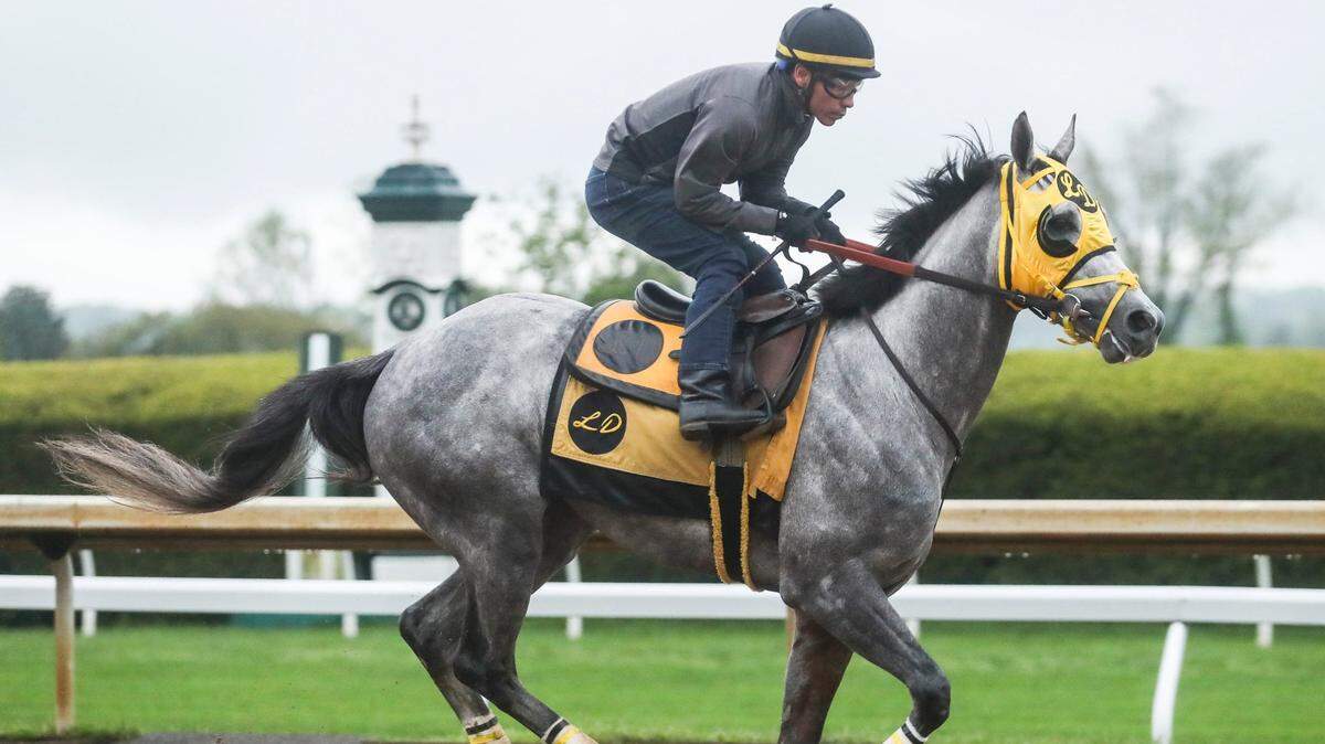 Want to ‘bet the gray’ in Kentucky Derby? Here’s your horse, plus other unique storylines.