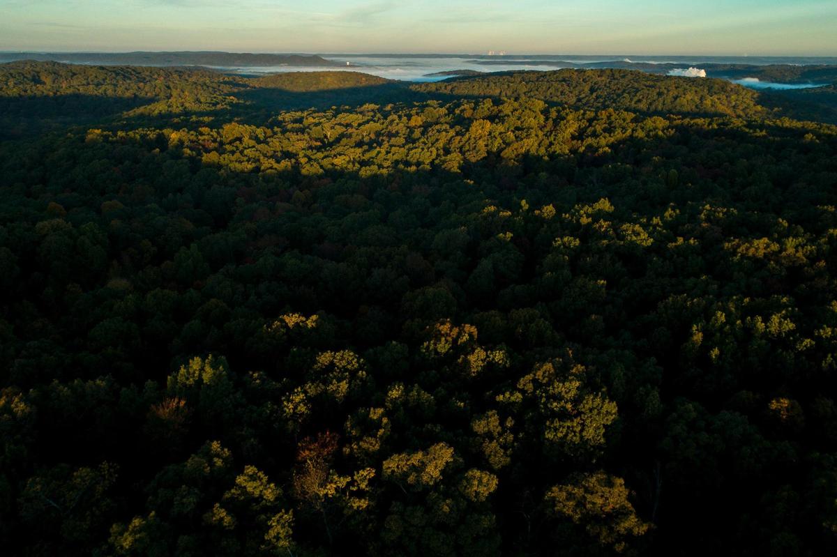 The rising sun lights treetops at the Bernheim Arboretum and Research Forest in Clermont, Ky., on Wednesday, Oct. 27, 2021.