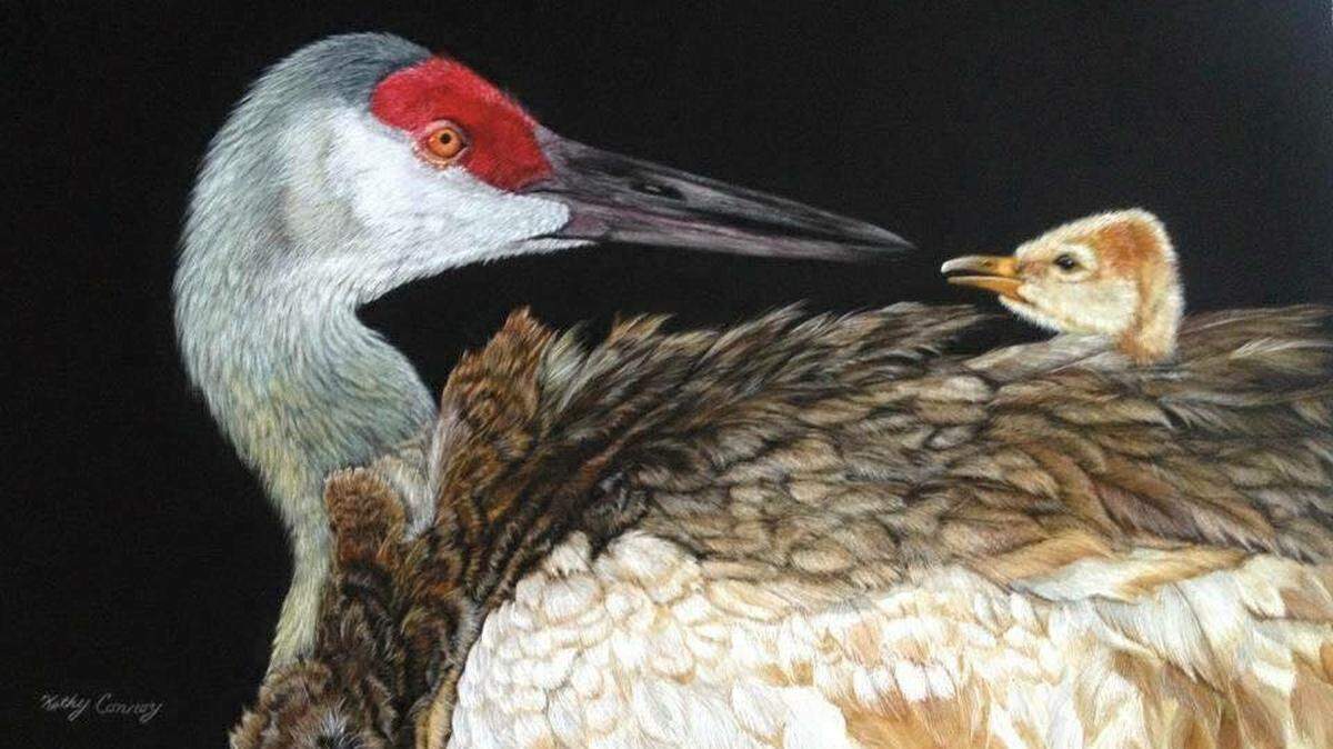 A painting of a sandhill crane and chick by artist Kathy Conroy, one of the vendors at the Berea Craft Festival this weekend.
