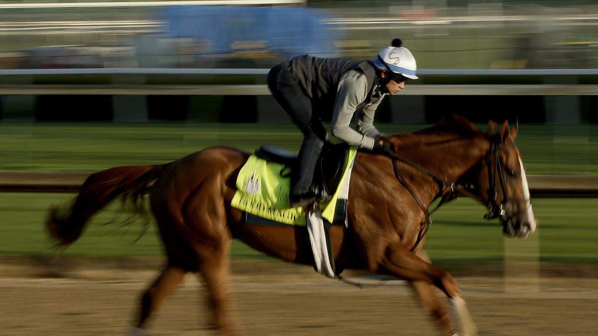 Good Magic worked out at Churchill Downs ahead of the Kentucky Derby. He was second in the Run for the Roses and fourth in the Preakness.
