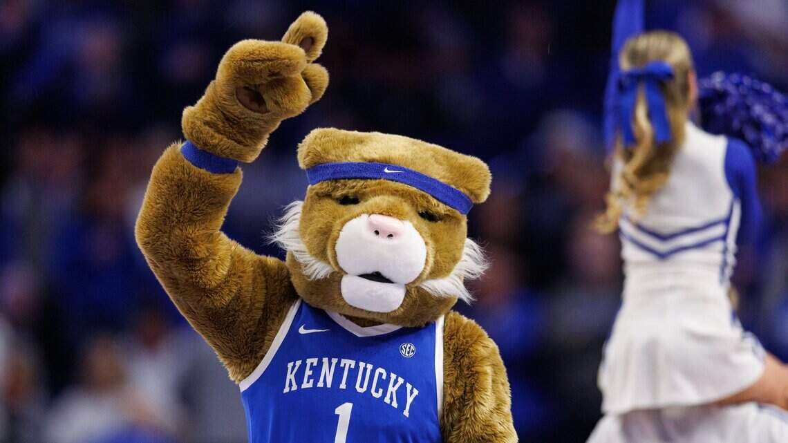 Origins Of The University Of Kentucky Wildcat Mascot Story Lexington 