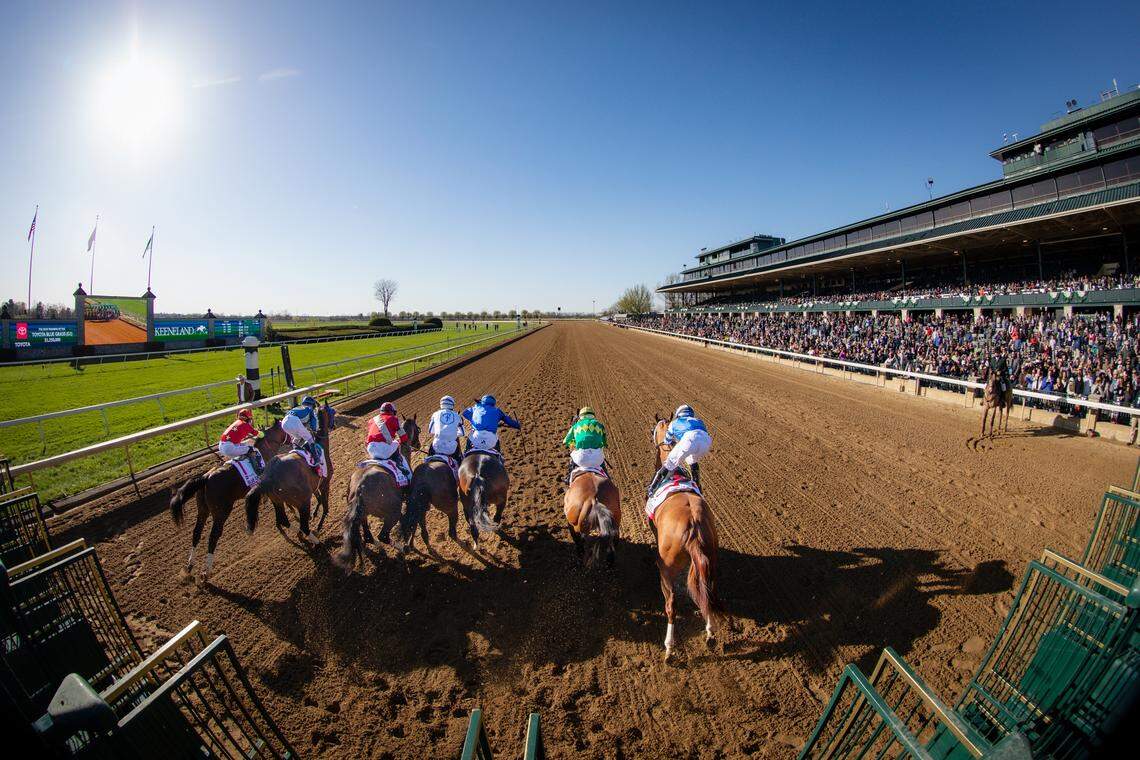 The 2025 running of the Toyota Blue Grass Stakes was won by Burnham Square on Tuesday, April 8, 2025, at Keeneland Race Course in Lexington. 
