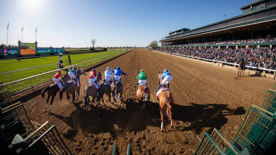 Meet the contenders, see the odds for the 2026 Blue Grass Stakes at Keeneland
