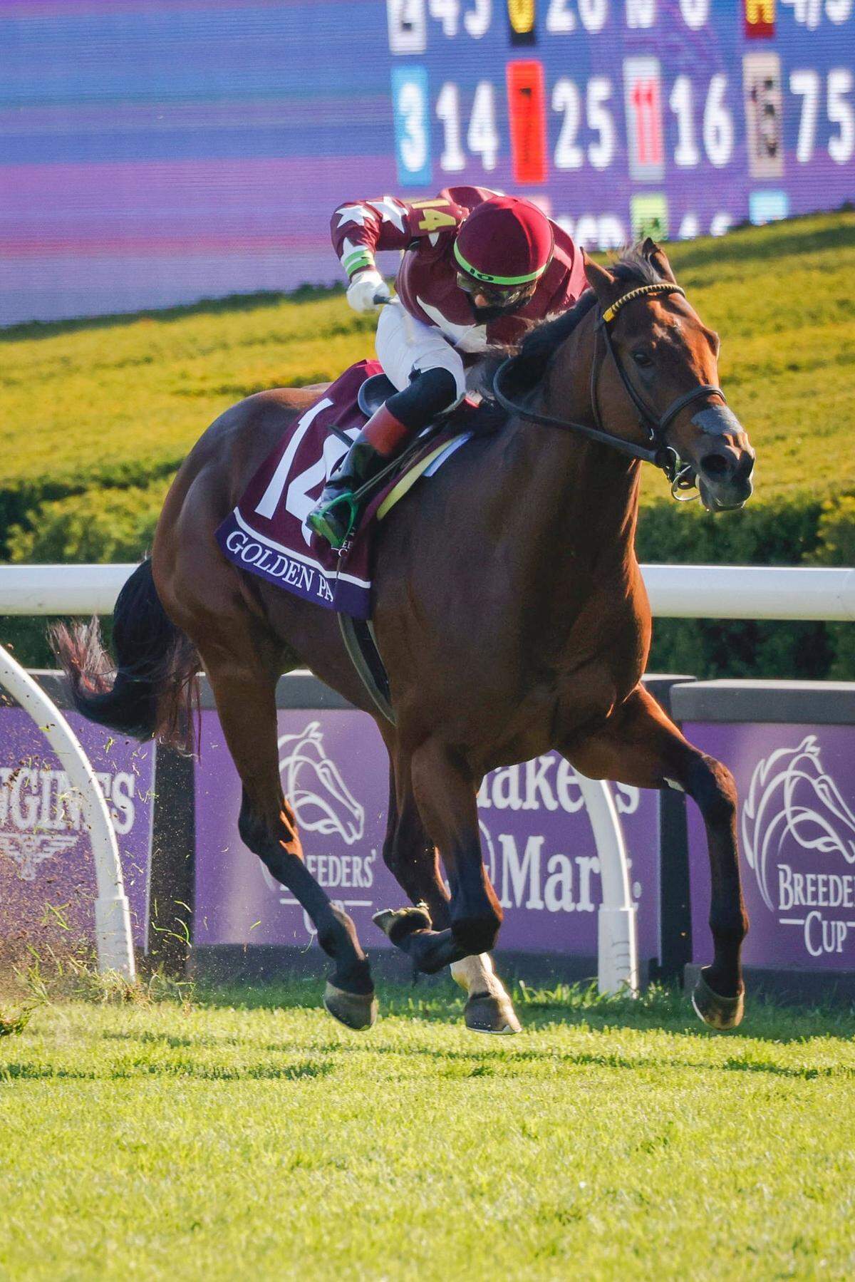 Golden Pal, shown here winning the Breeders’ Cup Juvenile Turf Sprint at Keeneland in 2020, won the Breeders’ Cup Turf Sprint at Del Mar last year. He’s back at Keeneland this year to defend his Turf Sprint championship and become only the third horse ever — joining Goldikova and Beholder — to win three Breeders’ Cup races.