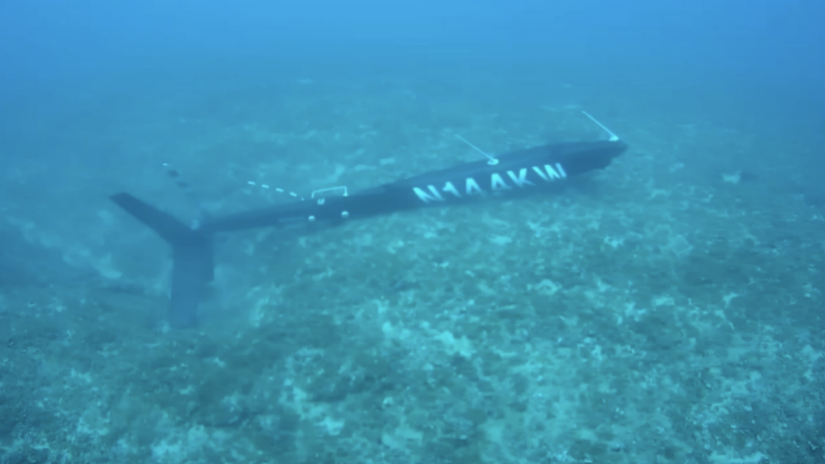 Searchers found the tail section of a helicopter that crashed off the coast of Hawaii July 11, killing two people from Kentucky, in 77 feet of water.
