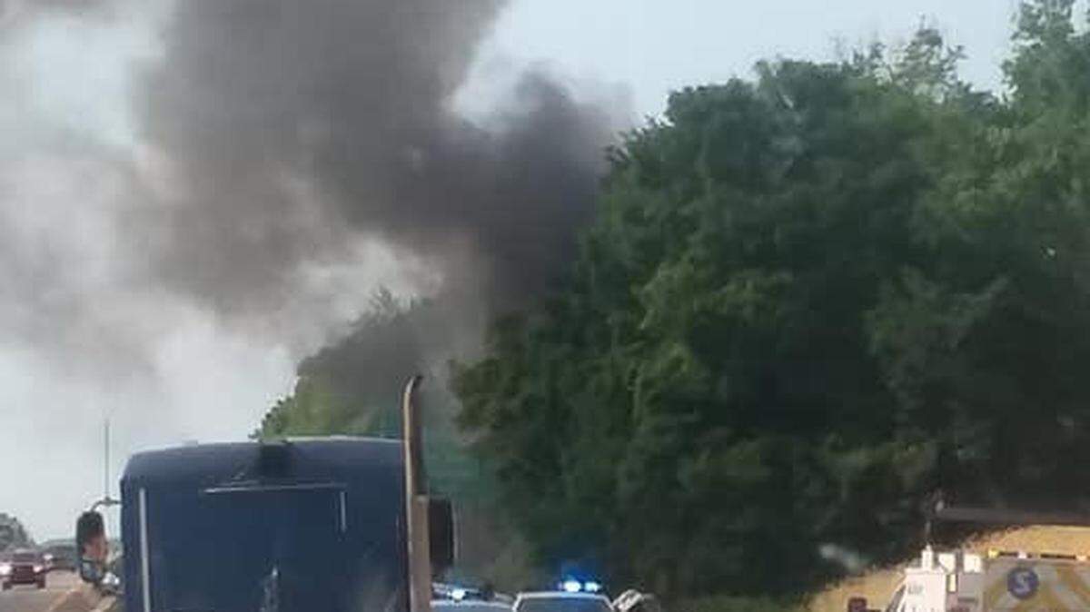 A portion of Interstate 75 in Rockcastle County was shut down after a tractor-trailer hauling pigs crashed into a guardrail Wednesday.