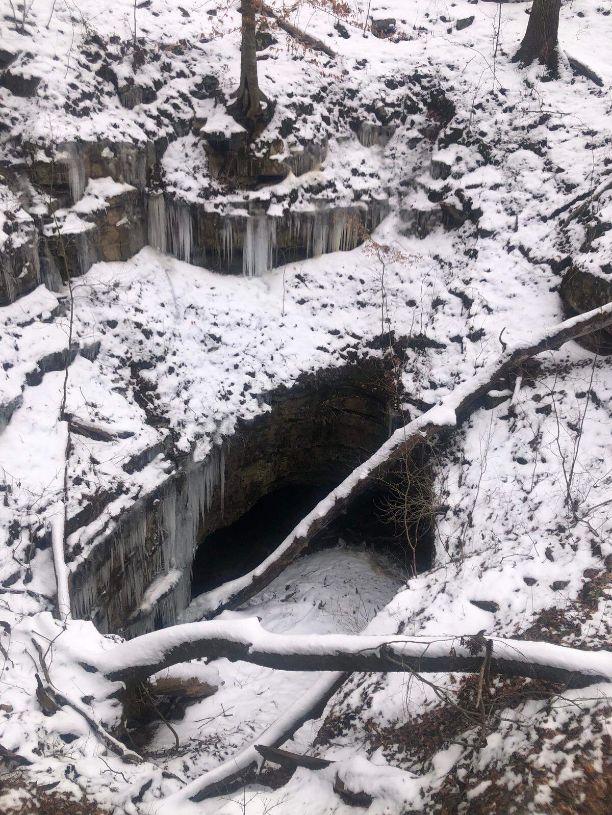 The “historic entrance” of Mammoth Cave National Park on Feb. 22, 2025. This is the largest natural opening into the Mammoth Cave system and was first used by prehistoric people roughly 4,000 to 5,000 years ago.