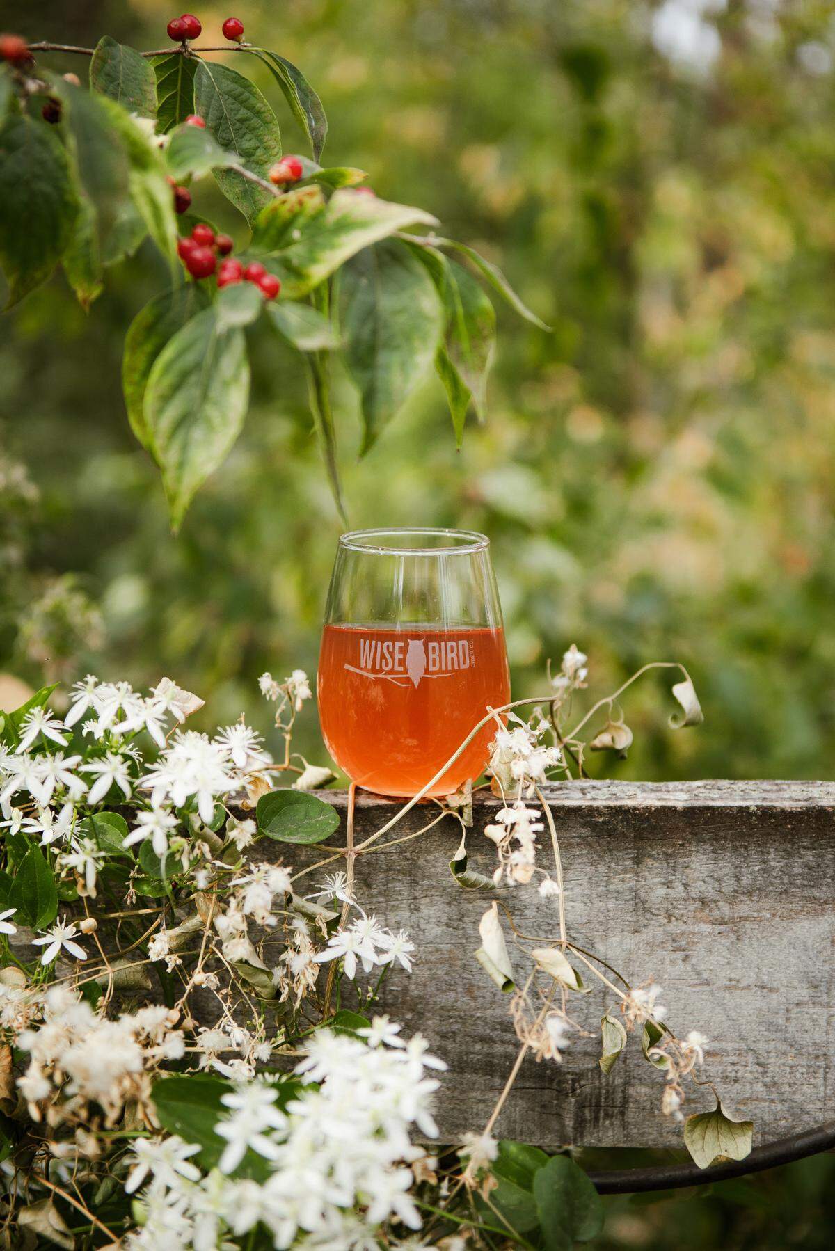 For Kentucky Cider Days, Wise Bird Cider Co. is collaborating with West Sixth Brewing for a new Red Raspberry & Black Currant Cider.