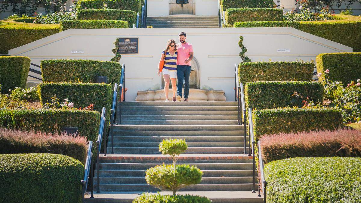 Domaine Carneros is best known as a small grower-producer of methóde traditionnelle sparkling wine, Pinot Noir, estate vineyards, and a breathtakingly beautiful château.