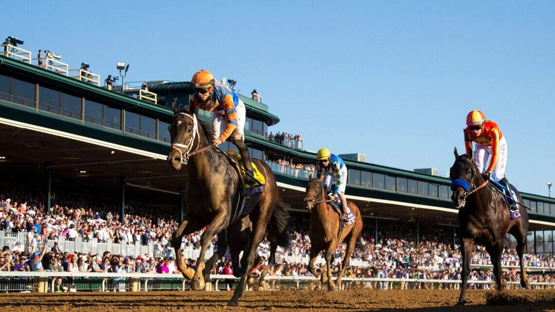 The Breeders' Cup returns to Keeneland in Lexington. Here's what to know