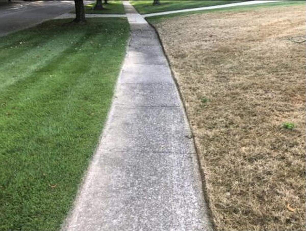 Fall armyworms can damage a large swath of grass in a very short time period. Seth Hillenmeyer said his lawn care business has been flooded with calls from homeowners concerned about them.
