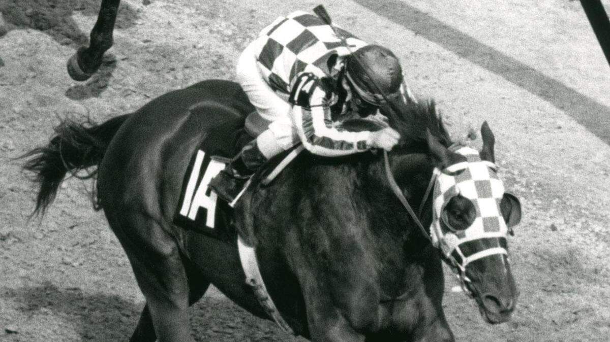Secretariat with Ron Turcotte up, won the 99th running of the  Kentucky Derby on May 5, 1973, two and half lengths in front of  Sham ridden by Laffit Pincay, Jr. Photo by E. Martin Jessee | Staff