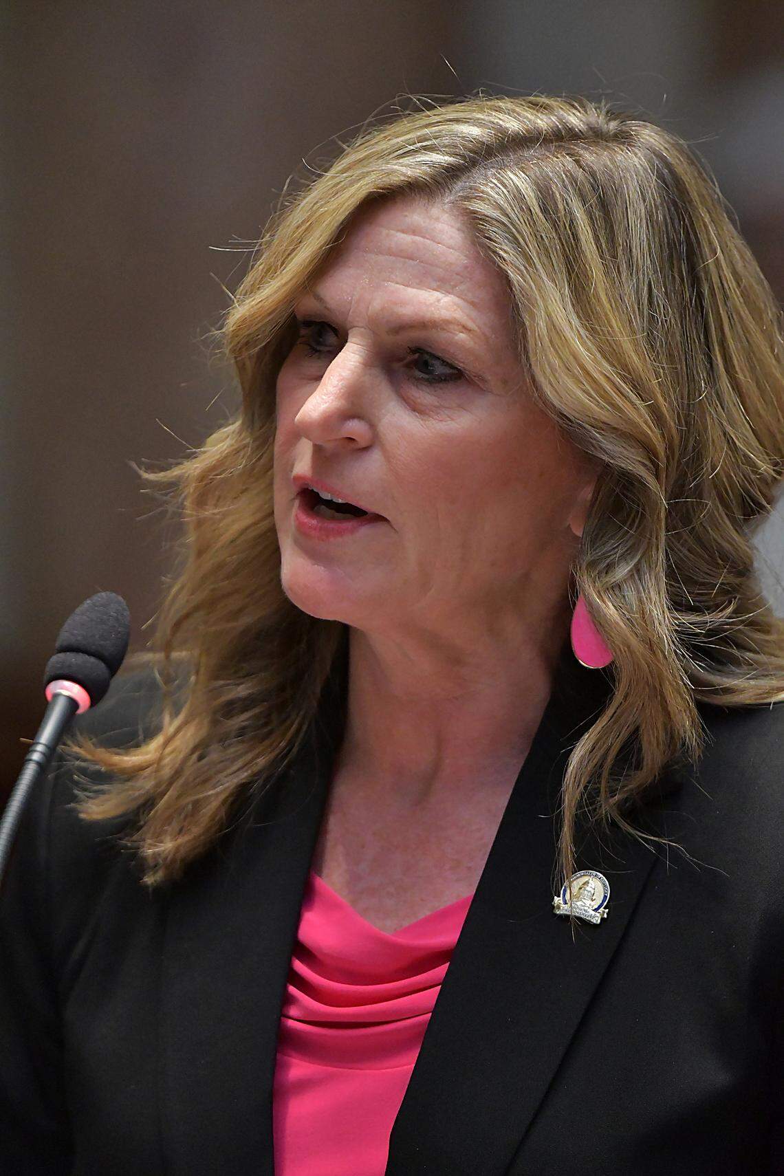 Rep. Marianne Proctor, R-Union, presents House Bill 10, an act related to the rights of real property owners, during the 2025 General Assembly.