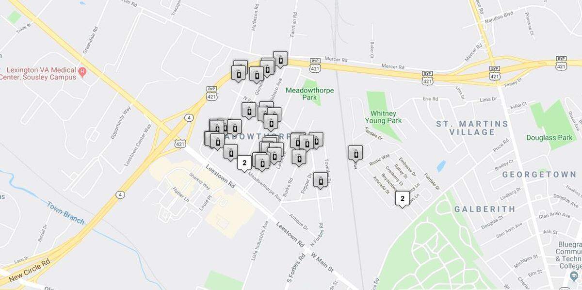 On Thursday and Sunday, there were two waves of vandalism in the Meadowthorpe neighborhood. In those two days, police received 40 reports of vehicles and houses damaged by BB gun pellets, according to Brenna Angel, a Lexington police spokesperson.