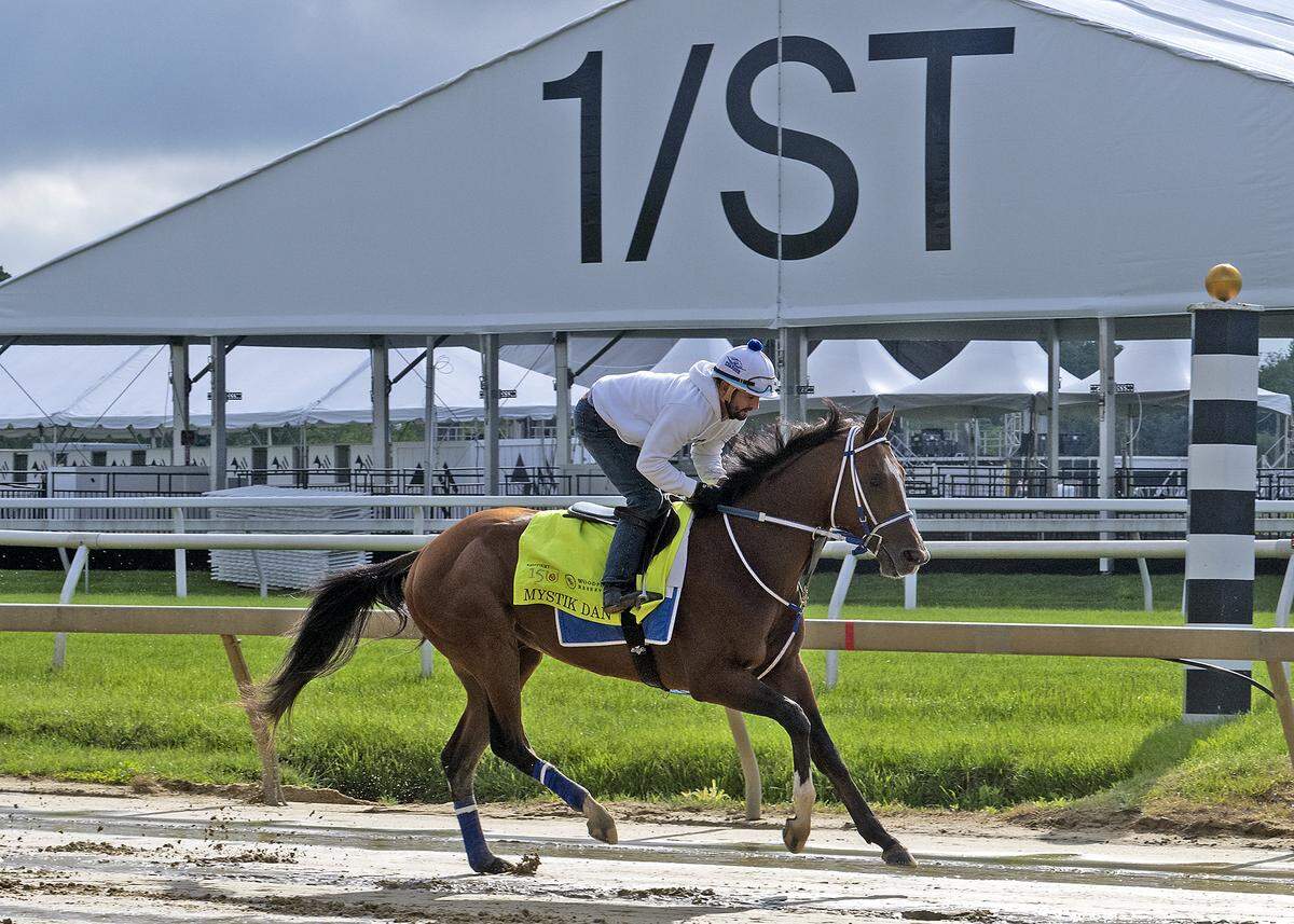 Kentucky Derby winner Mystik Dan works at Pimlico Race Course in Baltimore ahead of Saturday’s 149th running of the Preakness Stakes.