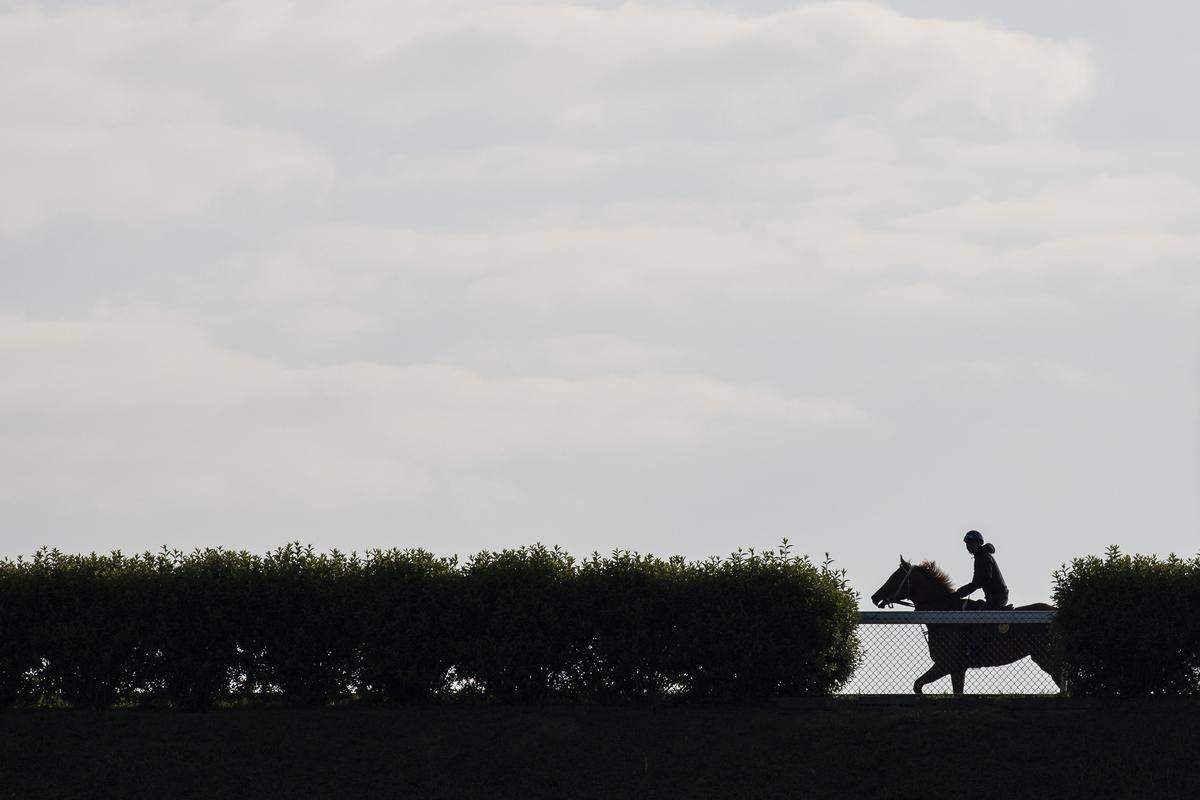 A horse and rider walk in the main track at Keeneland Race Course on Versailles Road on Tuesday, May 14, 2019.