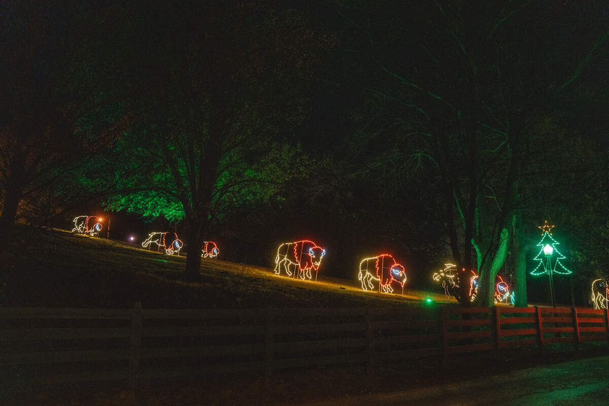 Buffalo Trace Distillery in Frankfort will host visitors for the 27th annual Spirit Nights events, including walk-thru and drive-thru lights displays. For an upgrade, visitors can book special cocktail tastings.