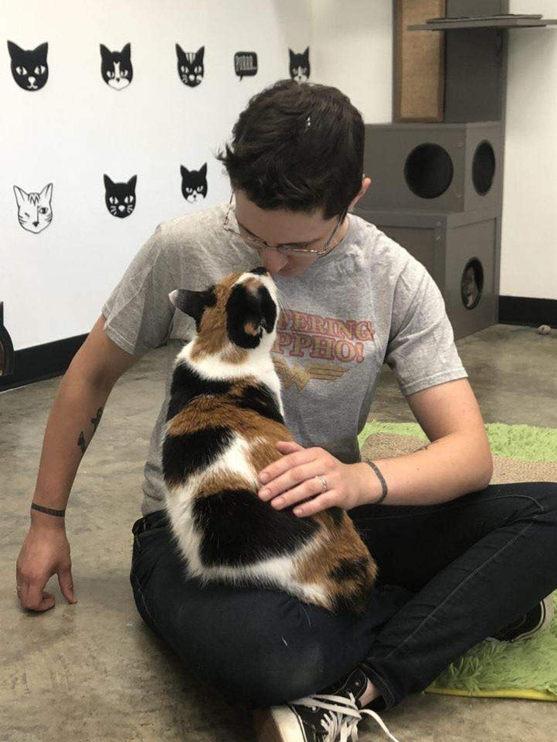 Cat lovers can go inside the “cat lounge” to meet the cats and pet them, and possibly apply to adopt one. Adoptions are handled through the Scott County Humane Society.
