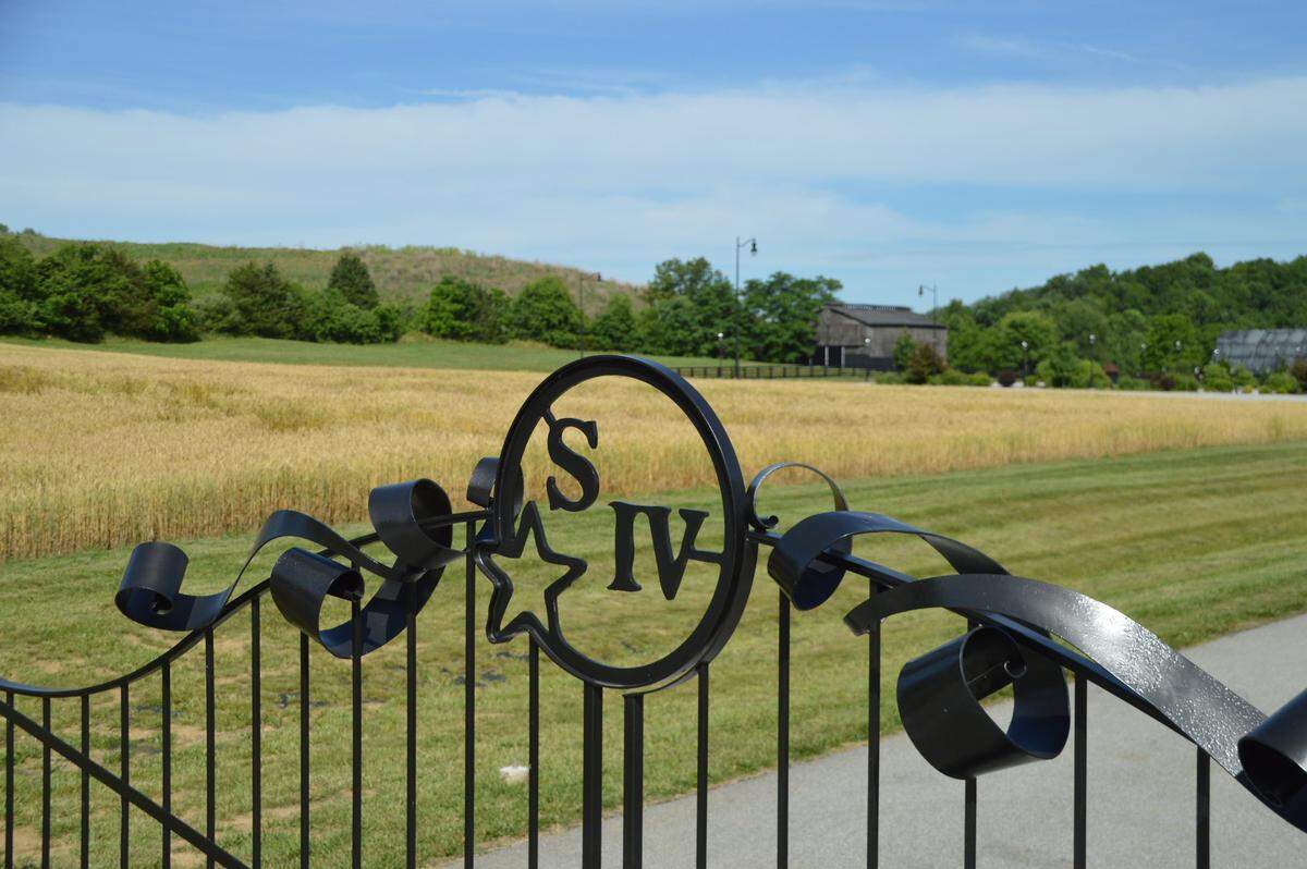 The entry gate to Star Hill Farm is adjacent to a small wheat field for all visitors to see. The larger wheat fields are on the other side of the road.