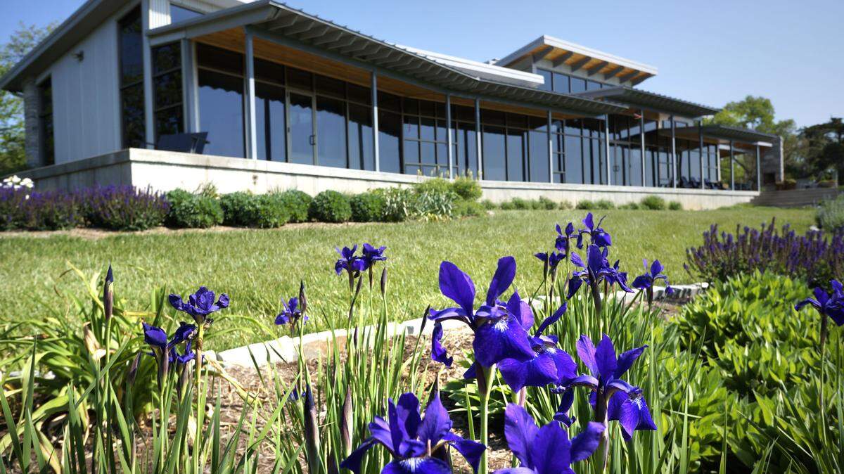Siberian irises, in foreground, grace a front garden at Sue Van Patten and Steve South's house in southern Woodford County. A 100-foot south-facing glass wall is a dominant feature of the design.  