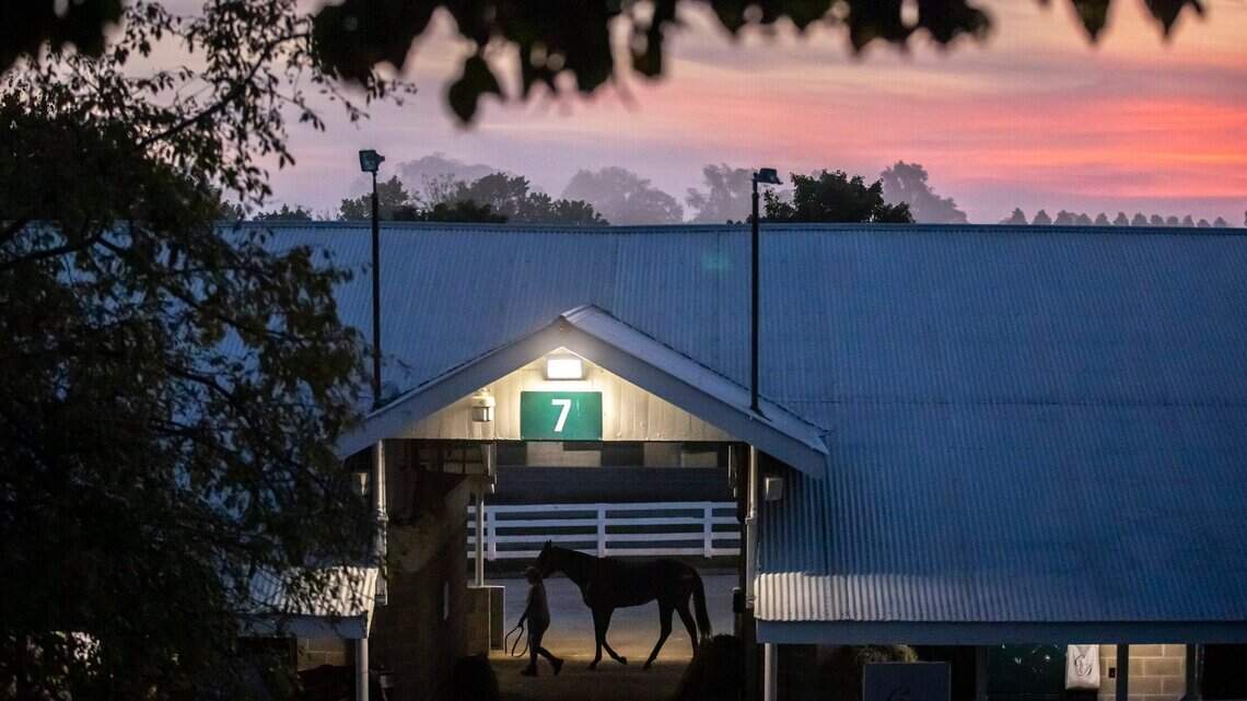 The 13 best things to do in and around Lexington this weekend