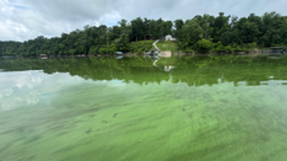 State officials warned of a harmful algal bloom at Herrington Lake, in the areas of Paradise Camp and Redgate.