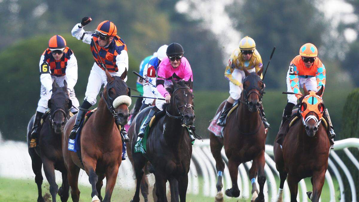 Jockey Alex Achard raised his fist in victory as In Love captured the 36th running of the Keeneland Turf Mile at Keeneland on Saturday.