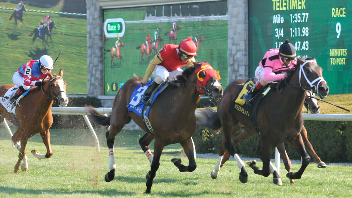 Jack Milton (6), ridden by John Velazquez, outlasted Up With the Birds (3) and Redwood Kitten (8) to win only his third career start.