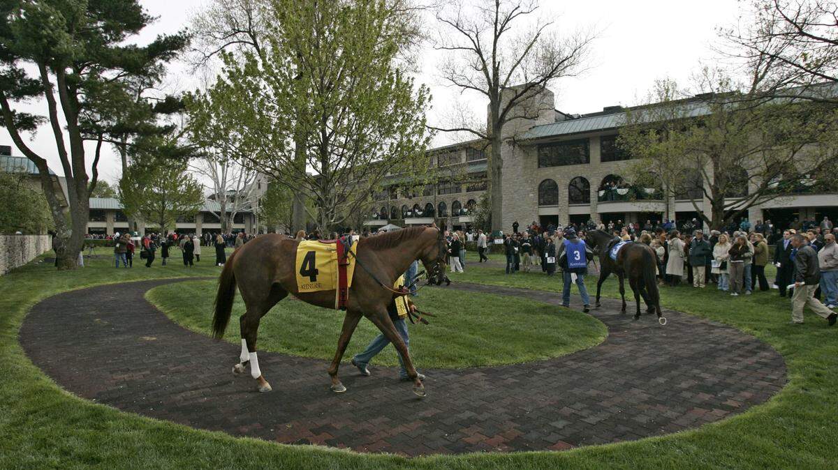 Funny Cide circled the paddock at Keeneland before his only career race at the Lexington track in 2007, his final season of racing. Funny Cide finished seventh that day but was among the race favorites because of his enduring popularity with fans.